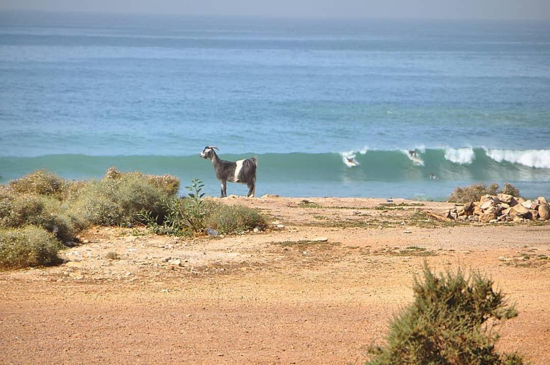 Hotel Manzili Surf House Tamraght Exterior foto